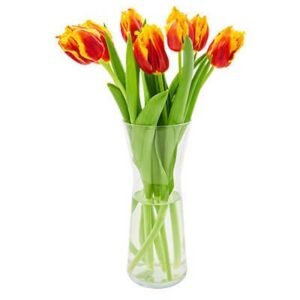 Luxury Anemone Bouquet